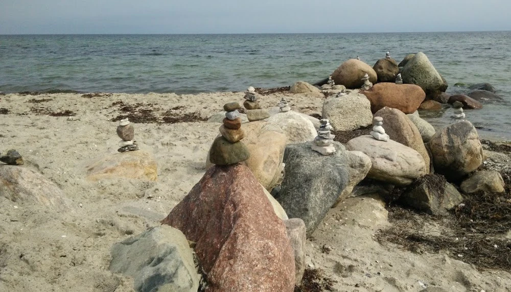 Friedger Müffke cover