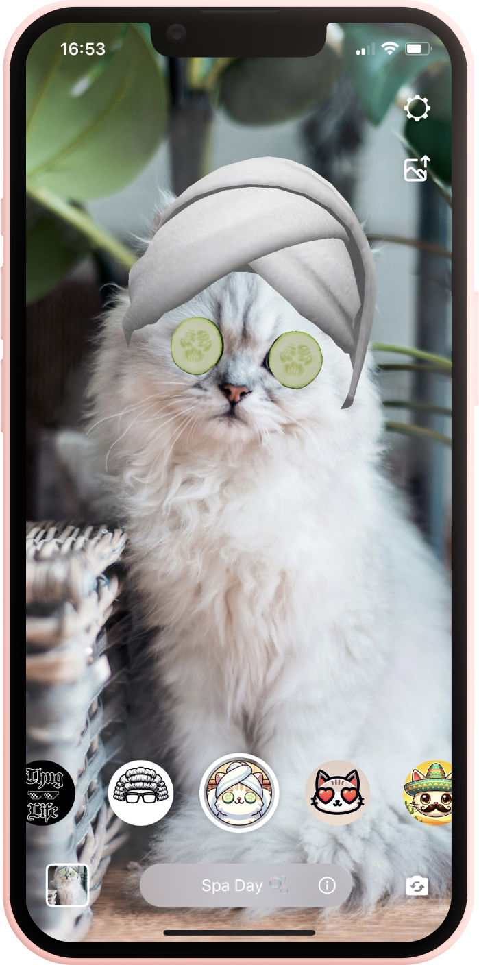 pawtastic - เอฟเฟกต์ใบหน้าสำหรับแมวของคุณ media 2