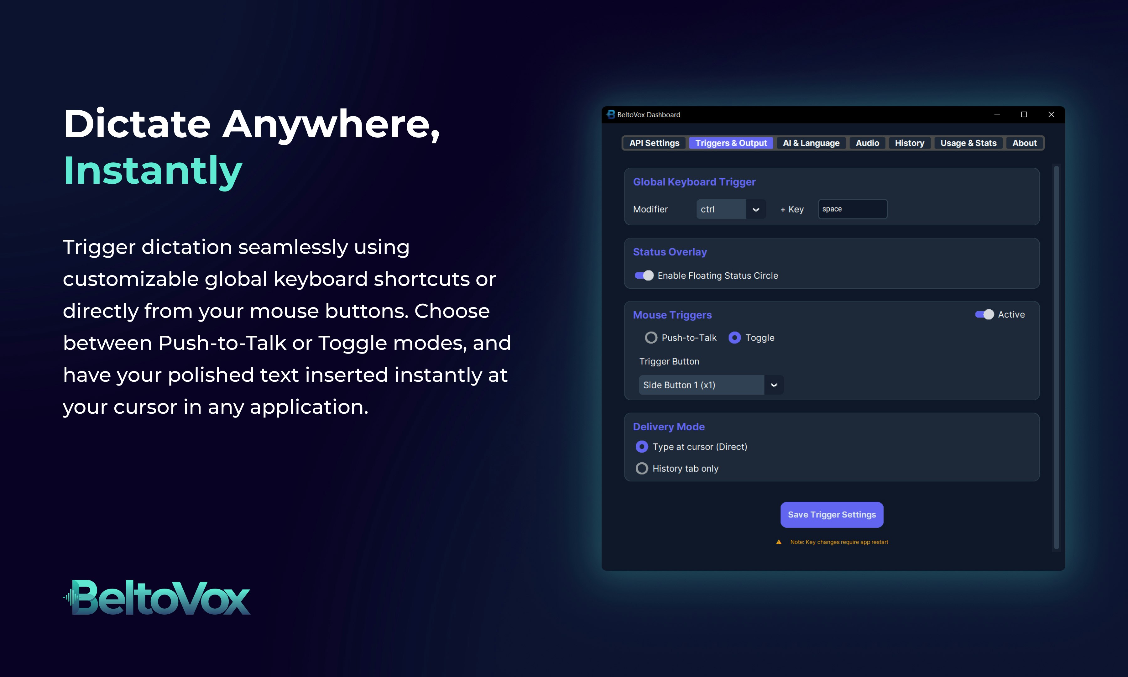 BeltoVox gallery image