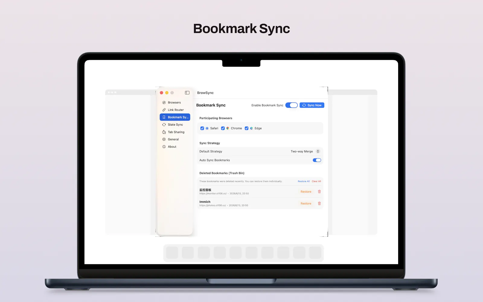 BrowSync screenshot 3