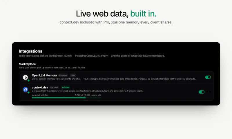 OpenLLM screenshot 6