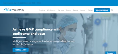 Blue Mountain gallery image