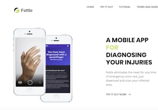 Fettle Mobile Dignoses gallery image