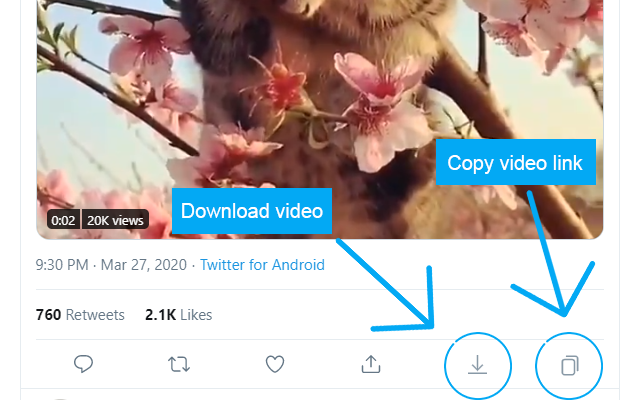 Twitter video downloader gallery image