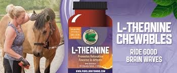 Vitamin Supplements Canada media 3