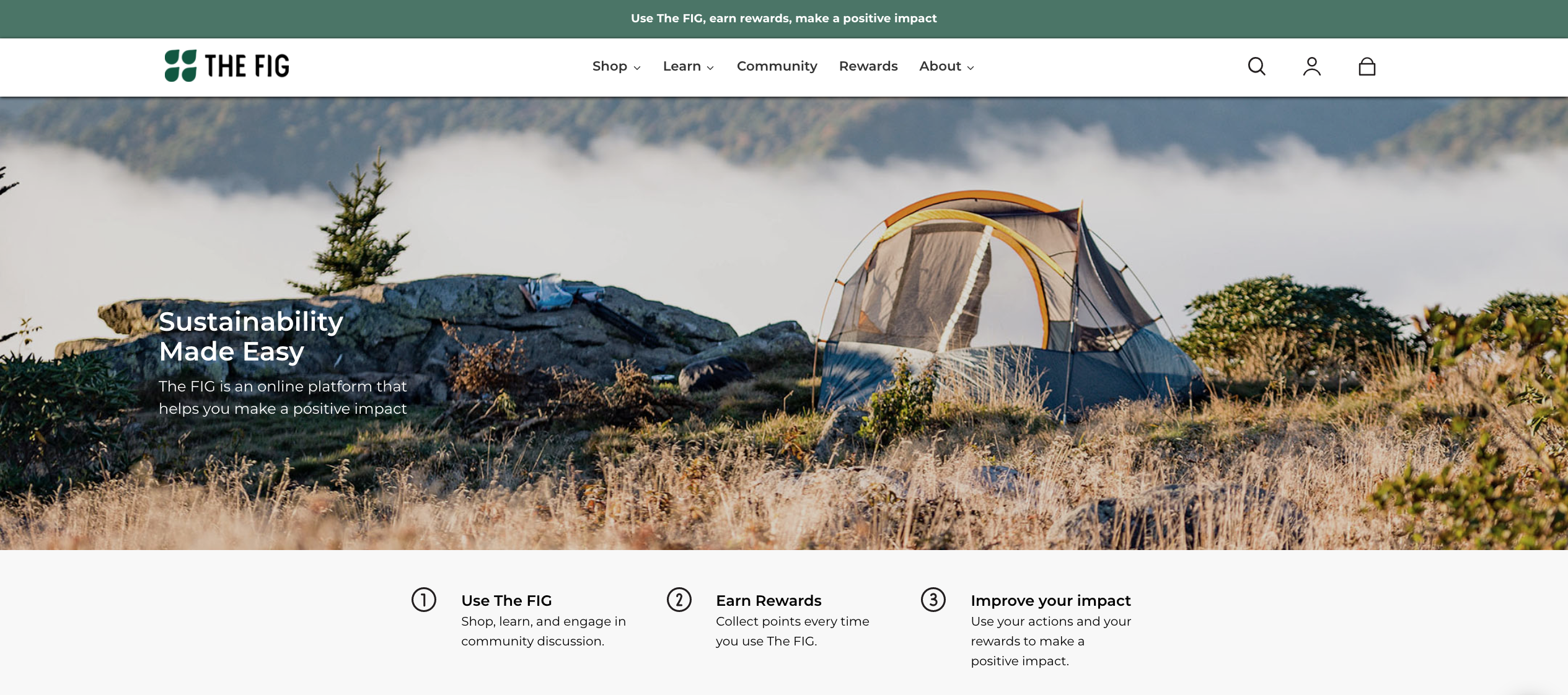 The FIG gallery image