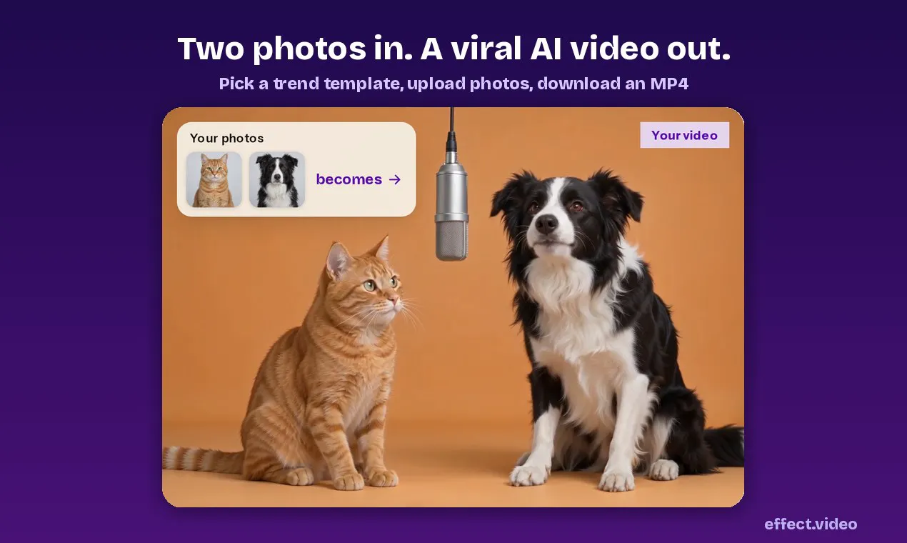 Effect Video gallery image