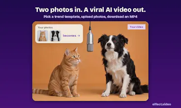 Effect Video gallery image