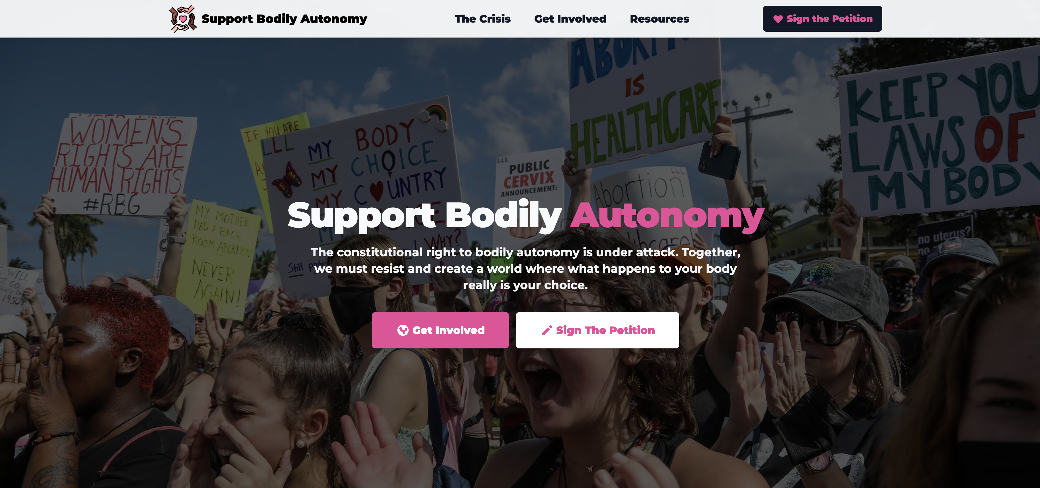 Support Bodily Autonomy gallery image