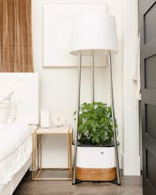 Annaboto gallery image