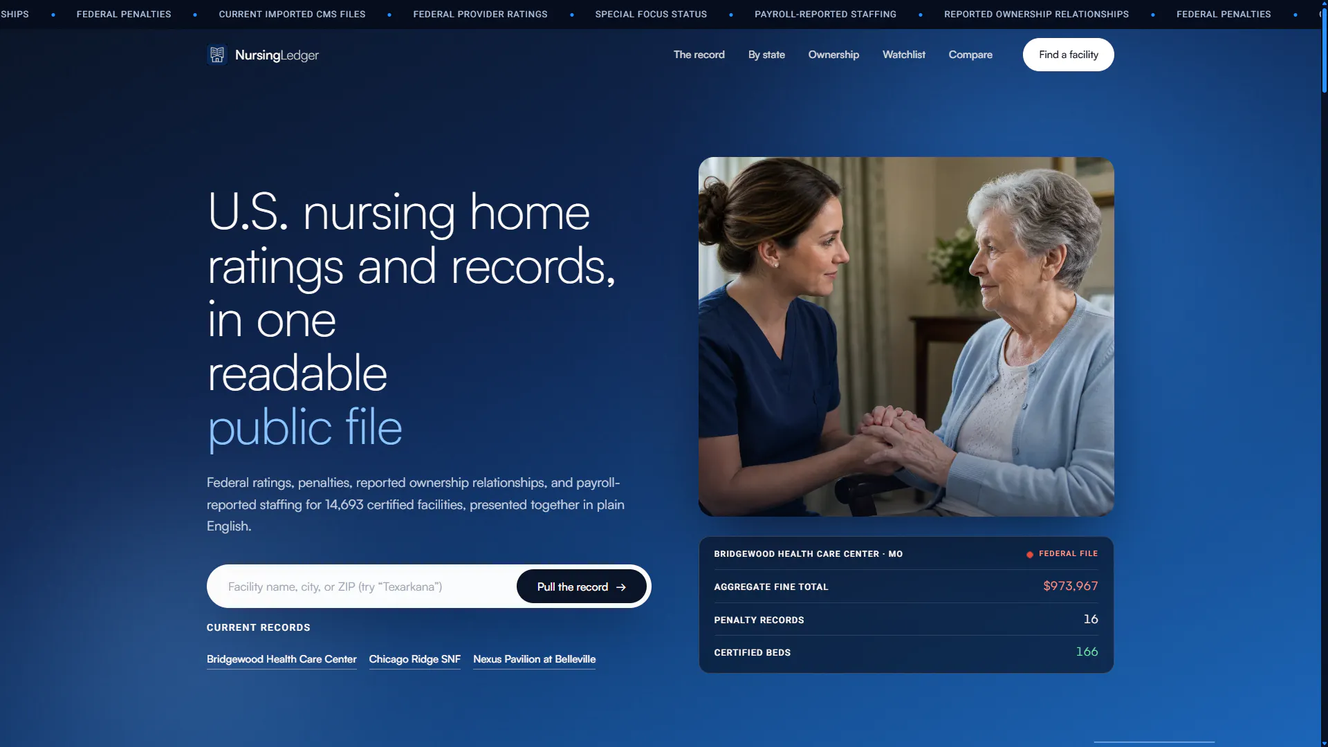 NursingLedger gallery image