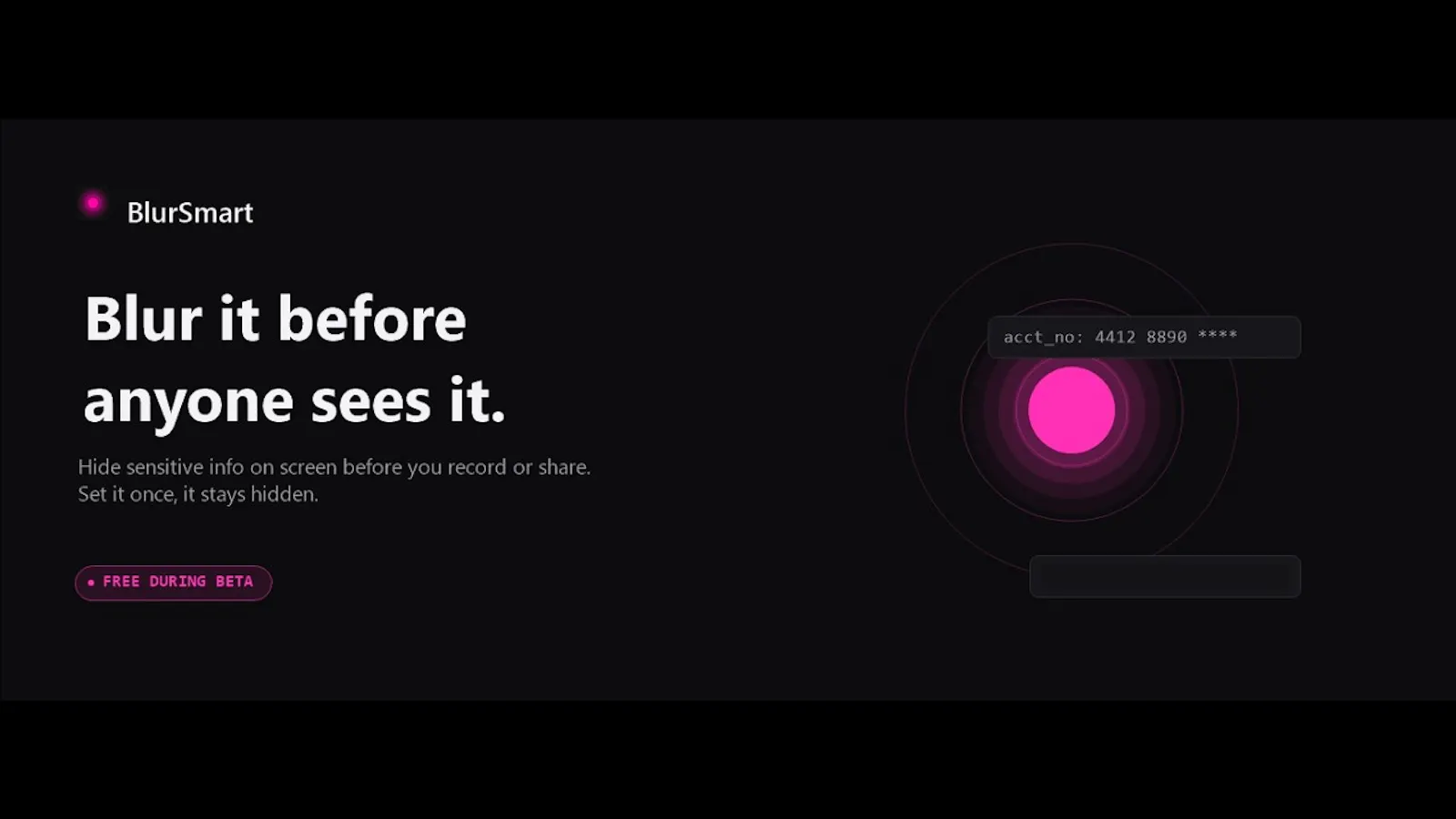 BlurSmart screenshot 1 (video preview)