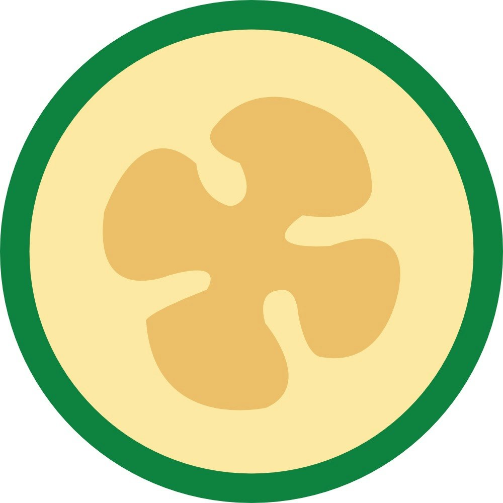 Feijoa