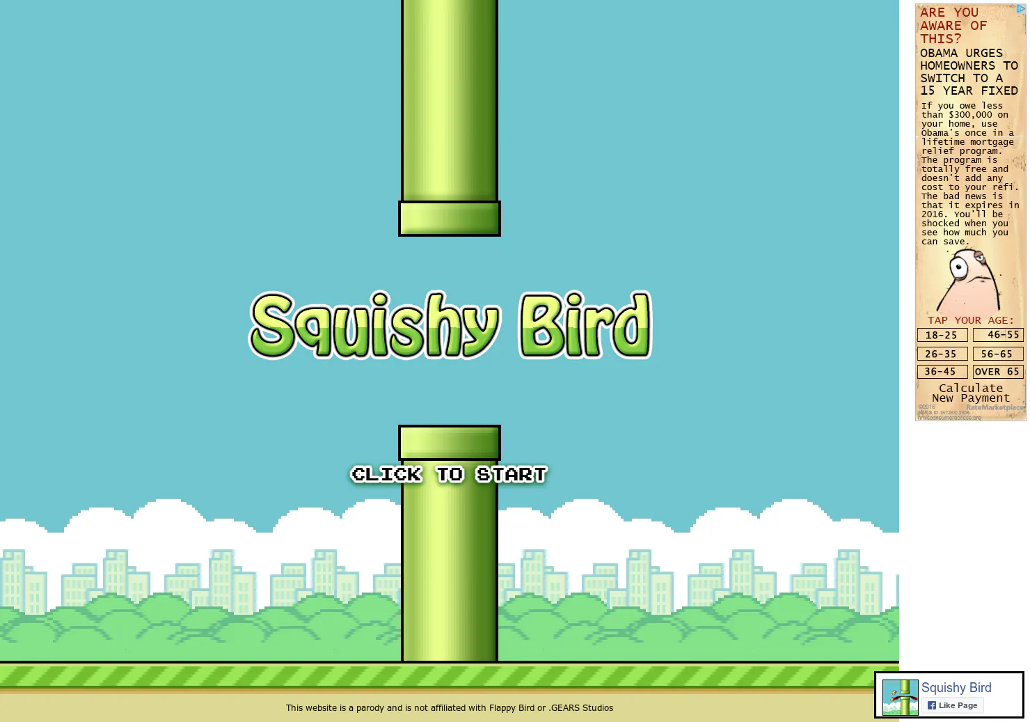 Squishy Bird