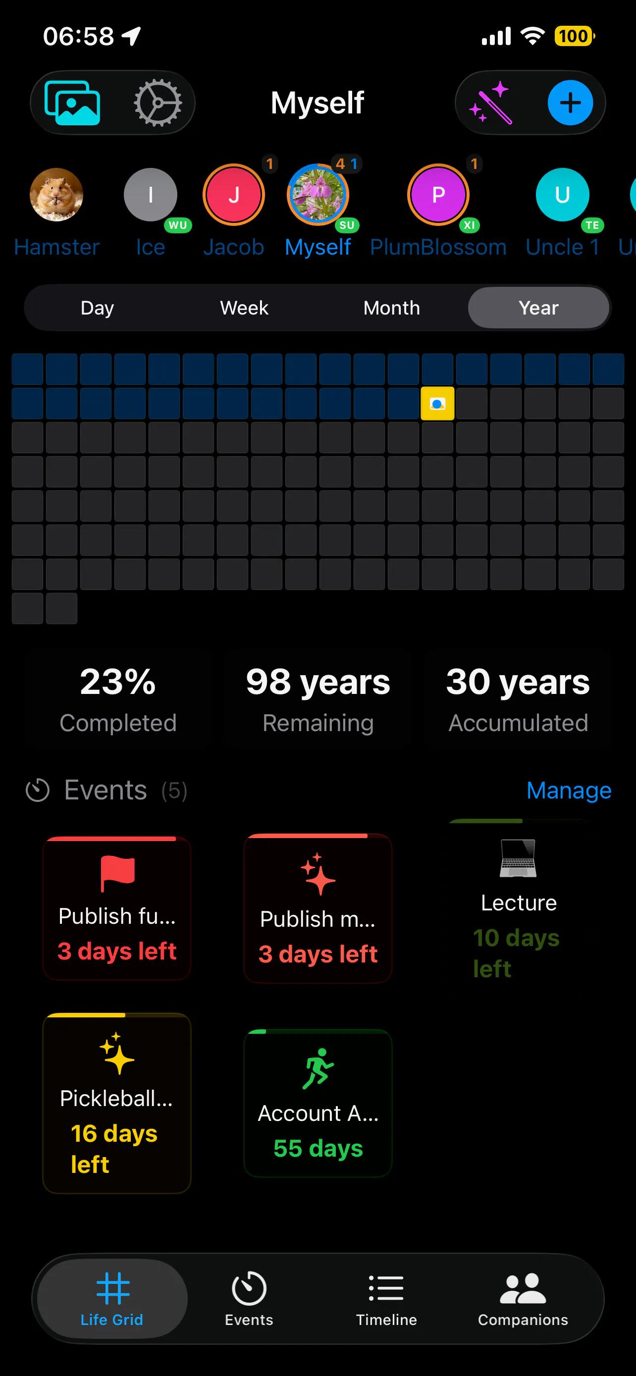 My Tempus Life Progress Widget