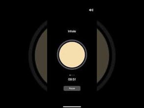 Sloth: Meditation & Breathing gallery image