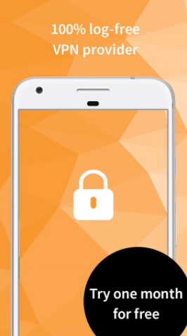 GOOSE VPN gallery image