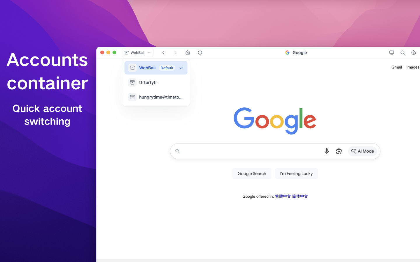 WebBall Browser - Screenshot 2 showing product features and functionality