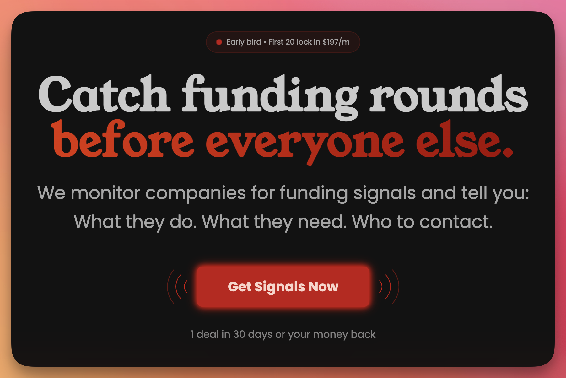 SignalSauce gallery image