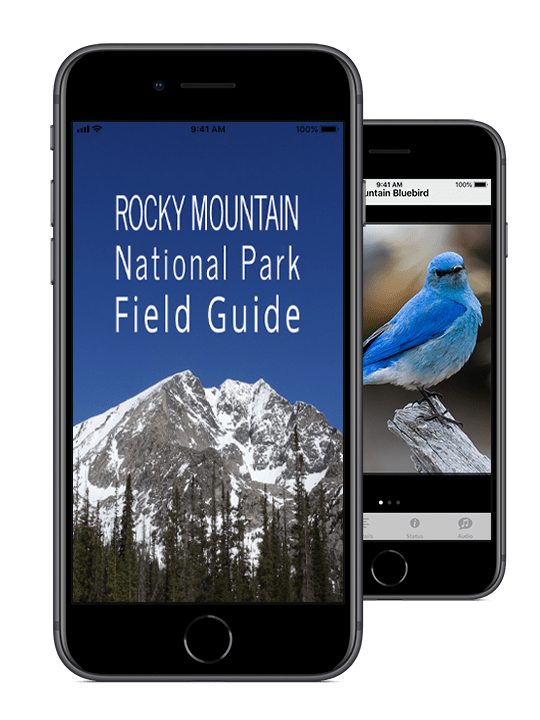 Rocky Mountain NP Field Guide
