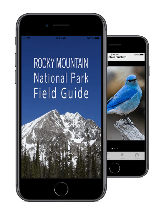 Rocky Mountain NP Field Guide