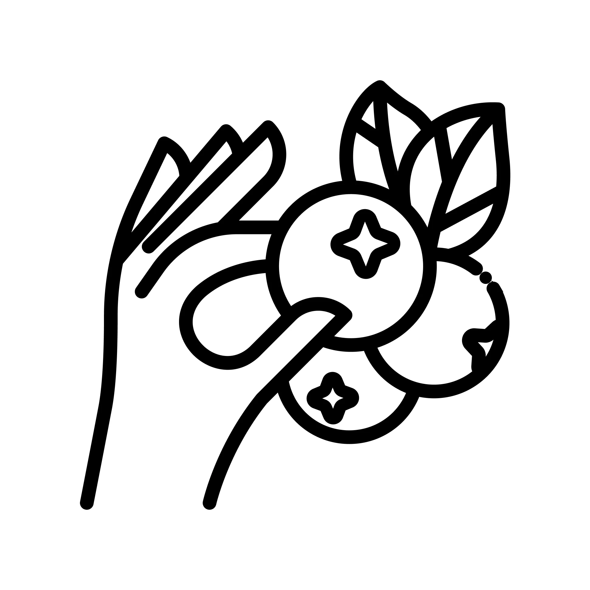 Spora