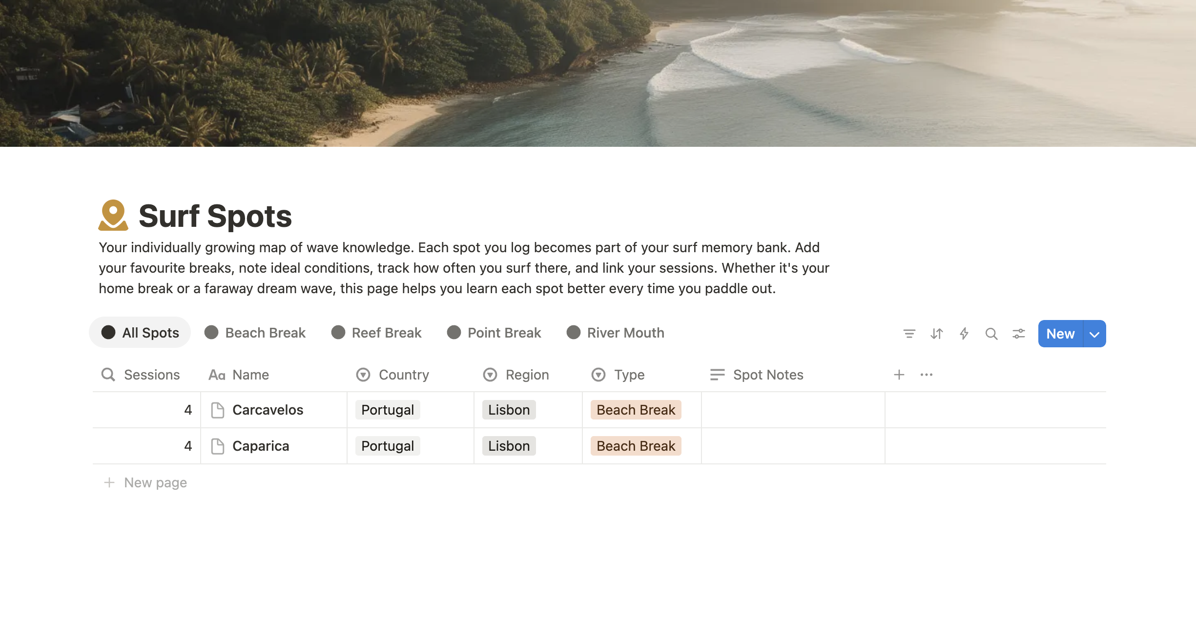 SwellSteps gallery image