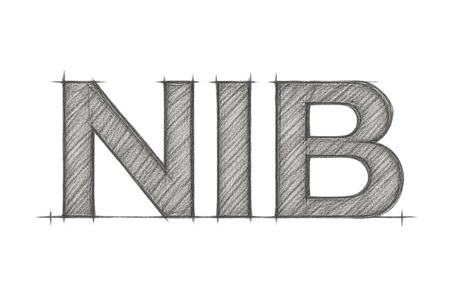 NIB 1.0.1