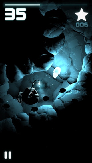 Seashine gallery image