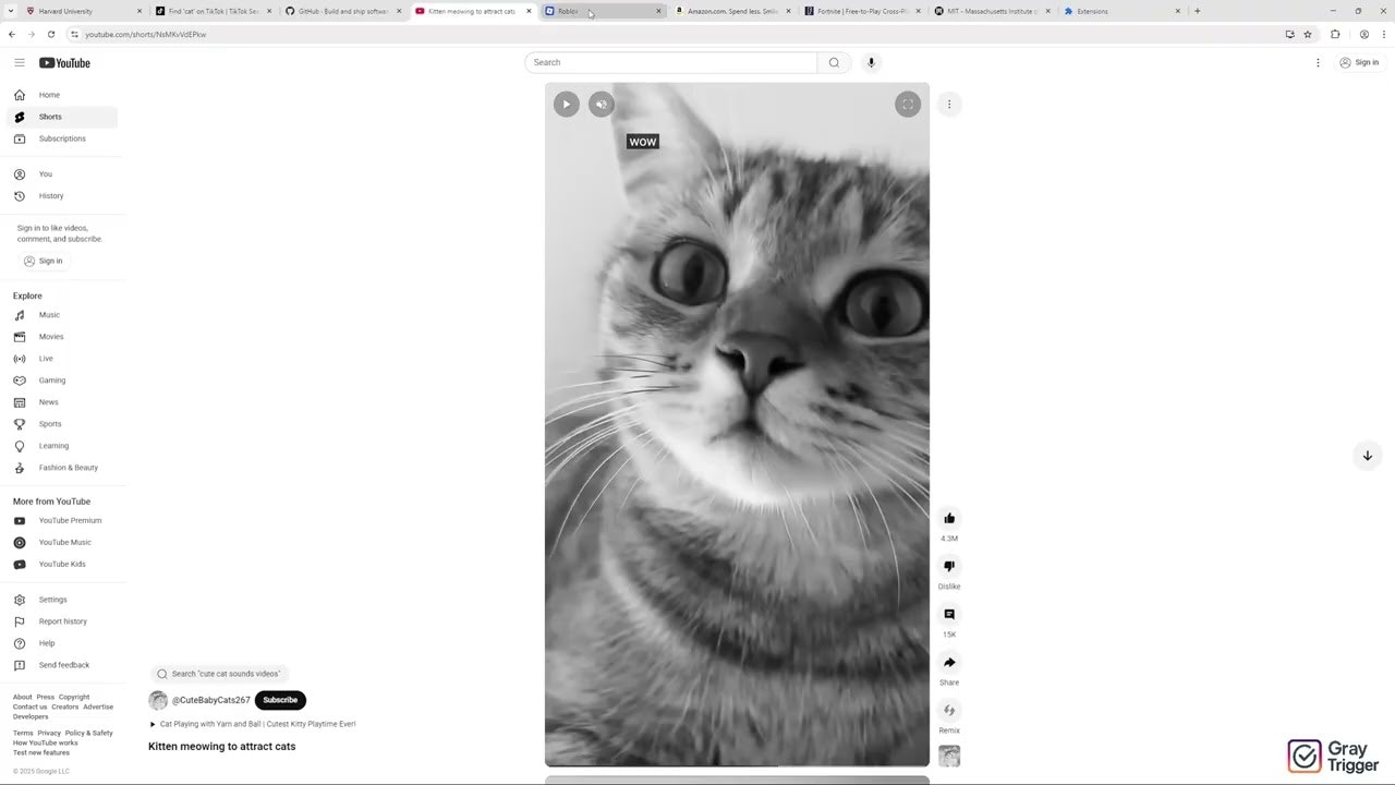 GrayTrigger 2.0 gallery image