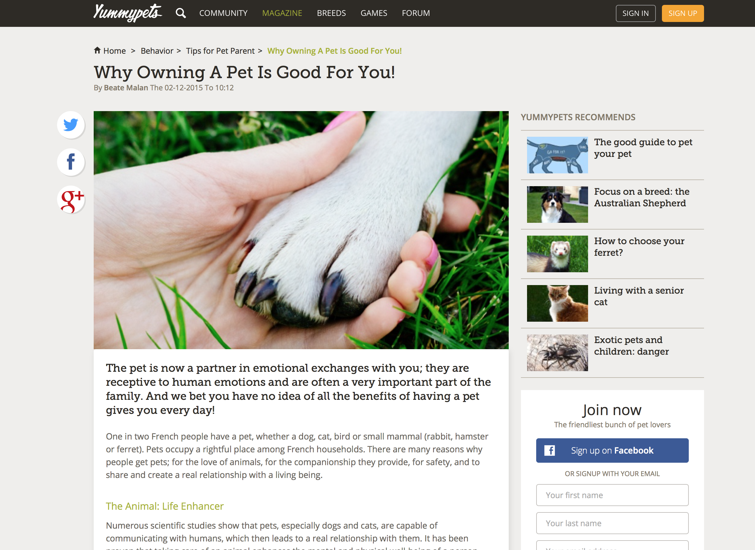 Yummypets gallery image