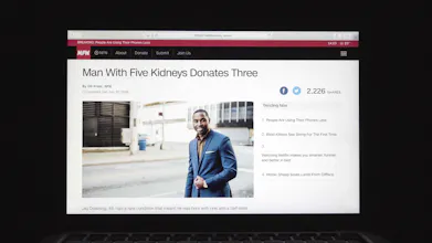 NFN (Nice Fake News) gallery image