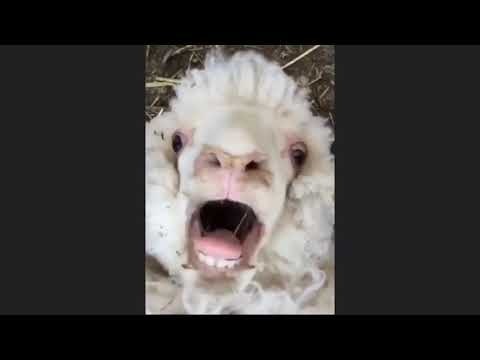 Baad Movies gallery image