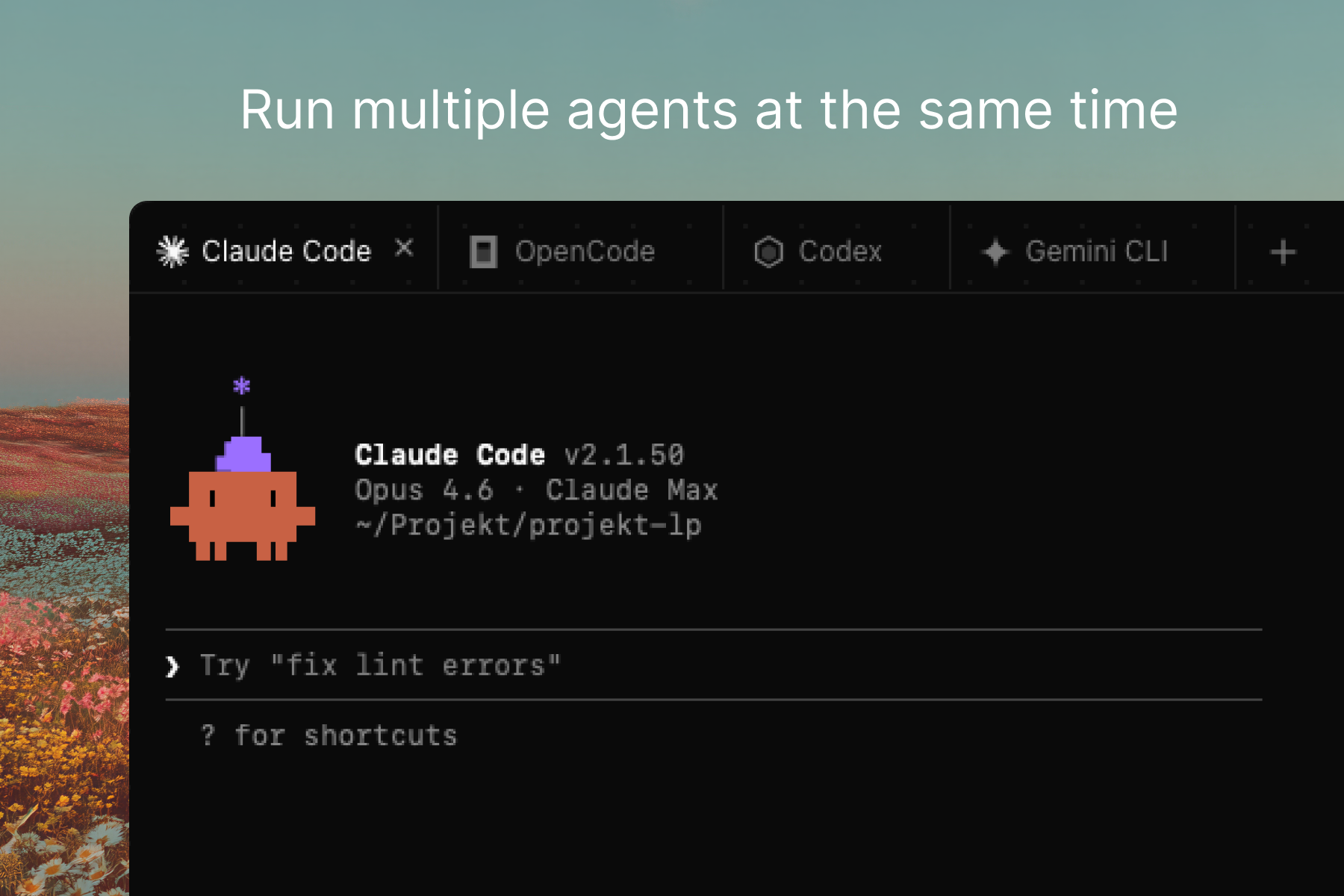 Projekt - Screenshot 2 showing product features and functionality