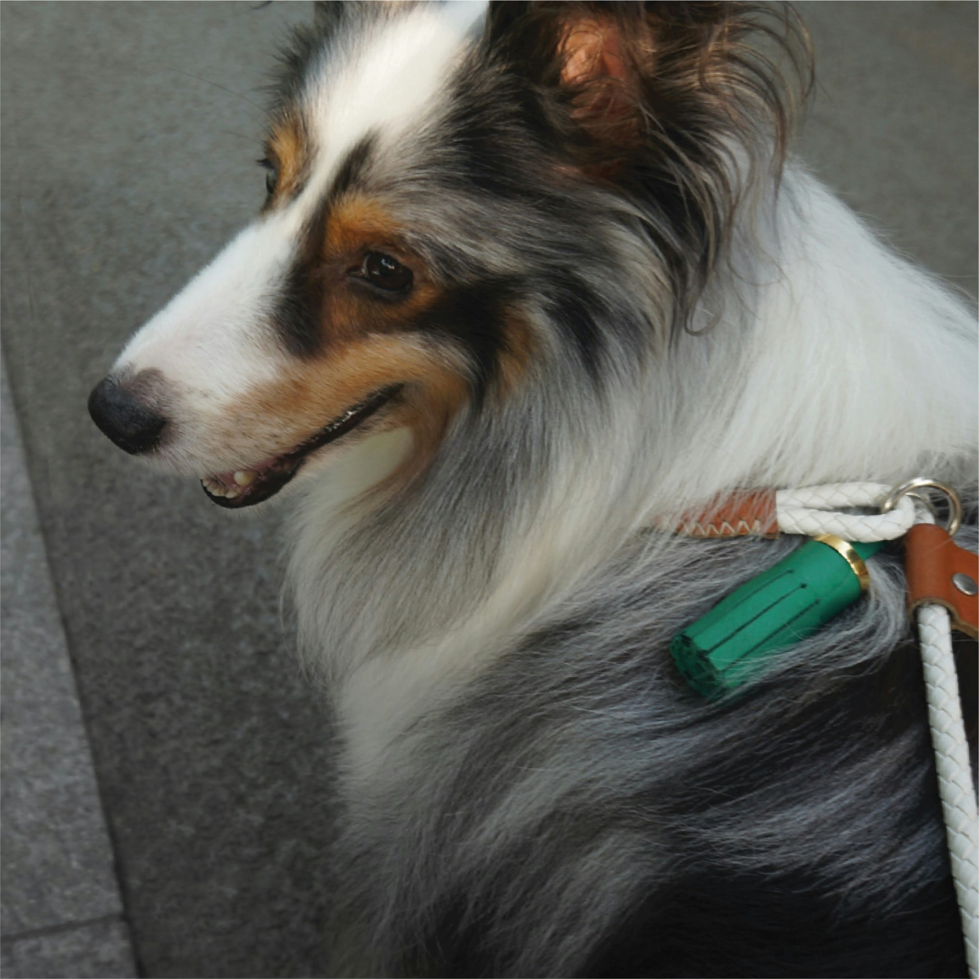 looper tassel gallery image