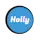 Holly Website Audit