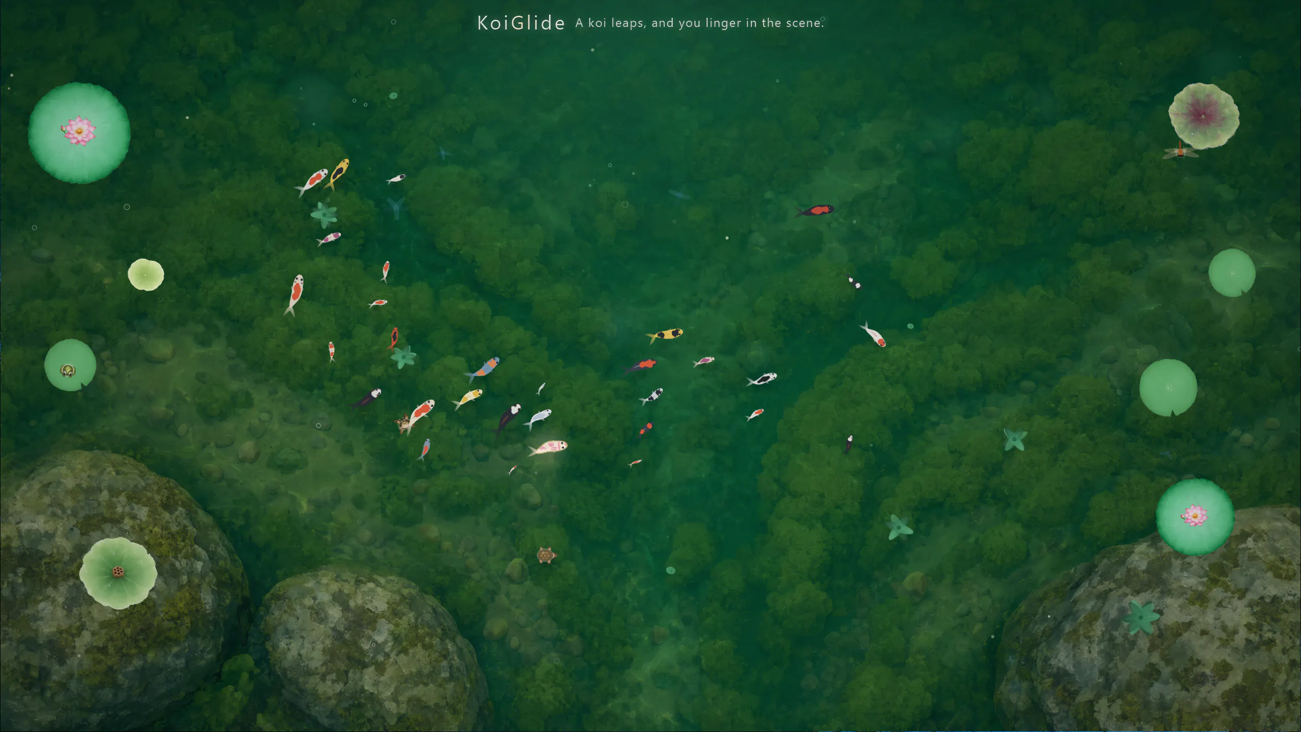KoiGlide gallery image