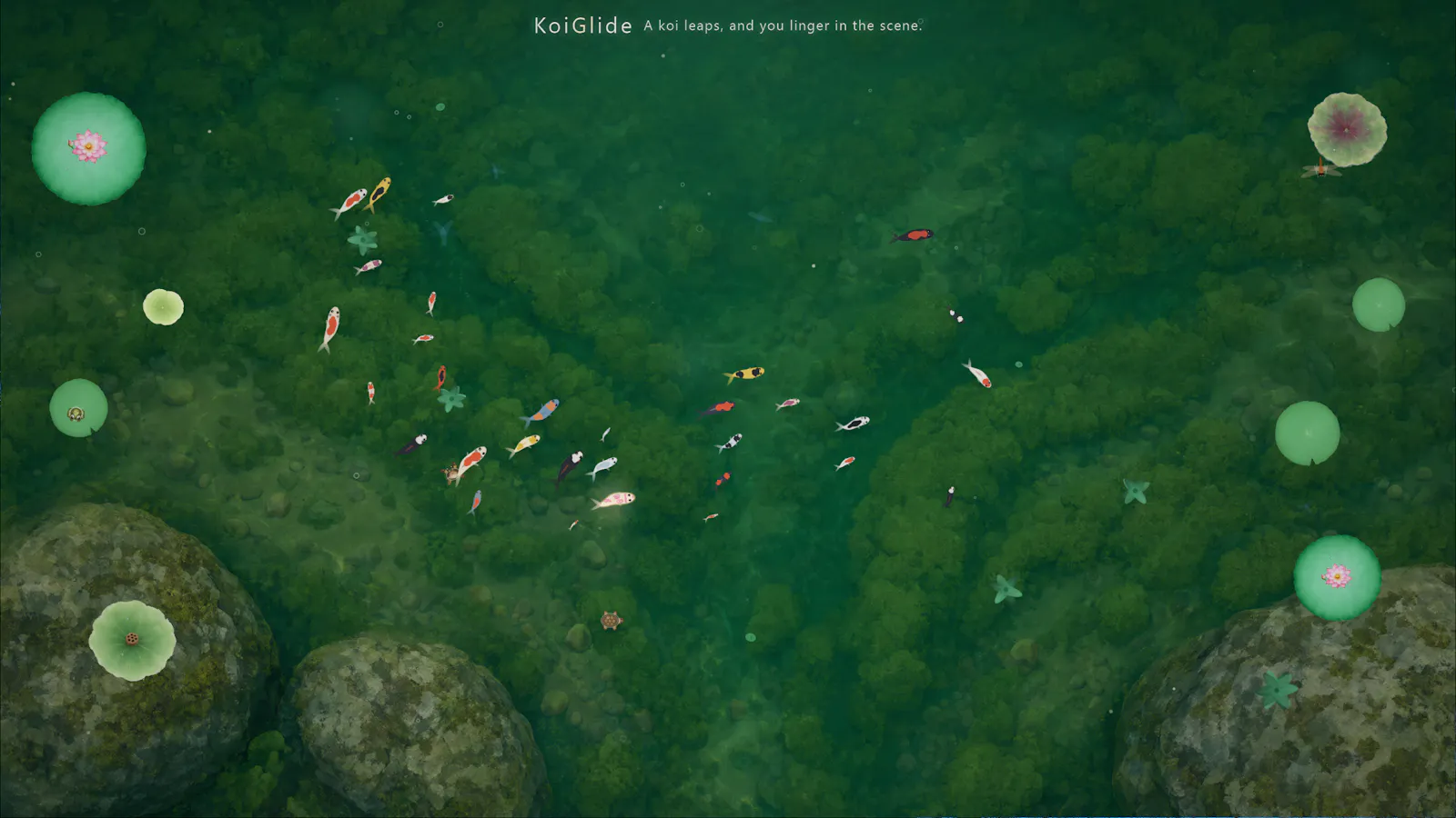 KoiGlide screenshot 3
