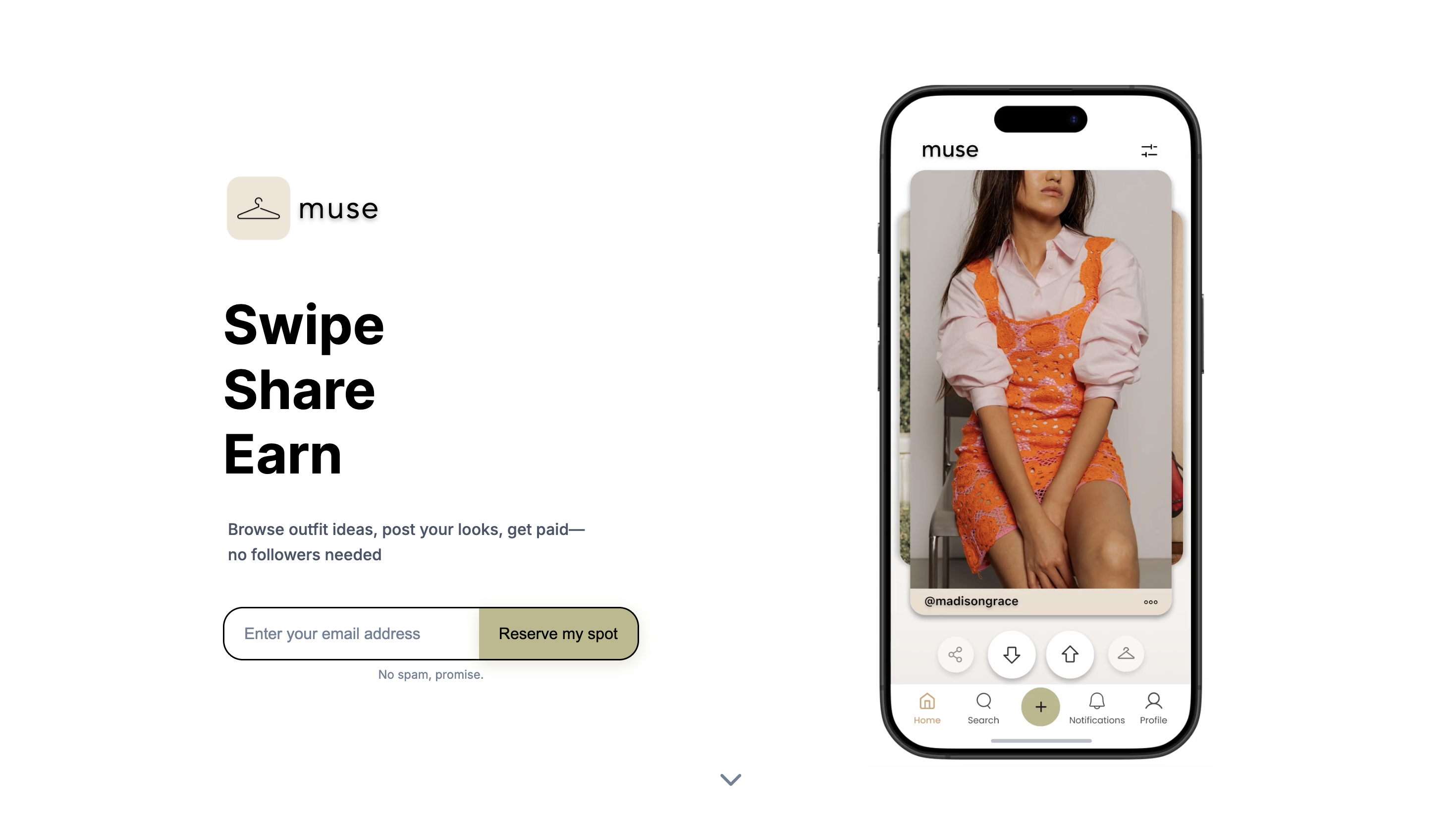 Muse gallery image