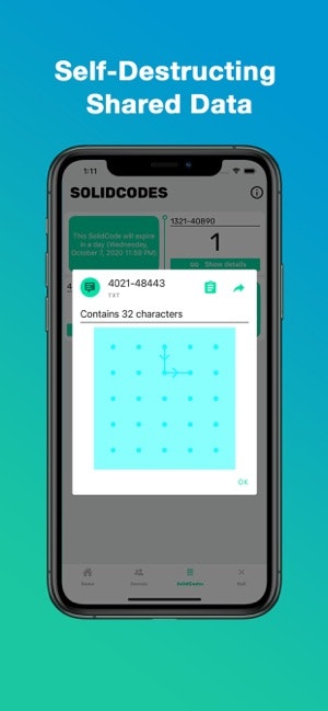 SolidFish gallery image