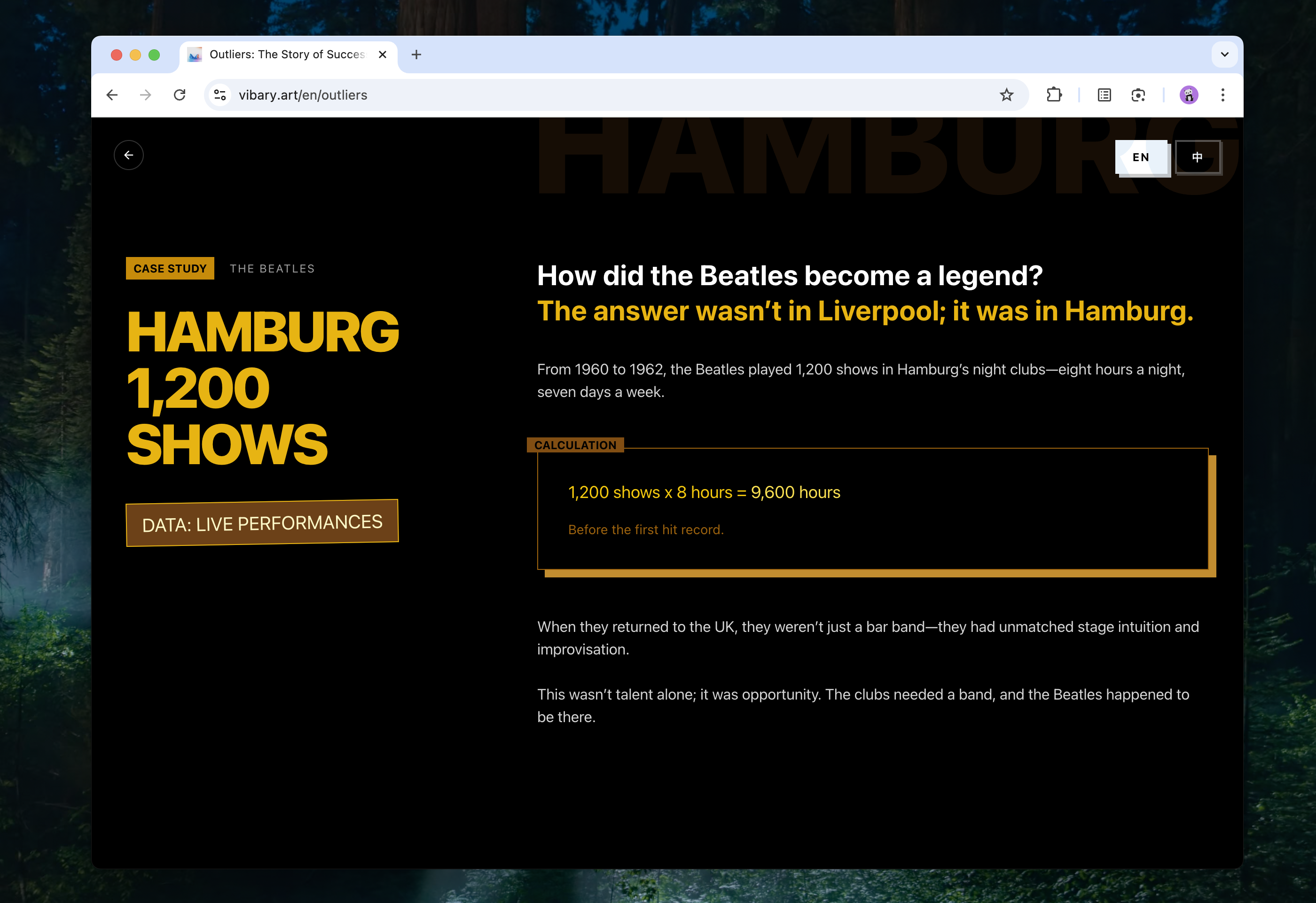 Vibary gallery image