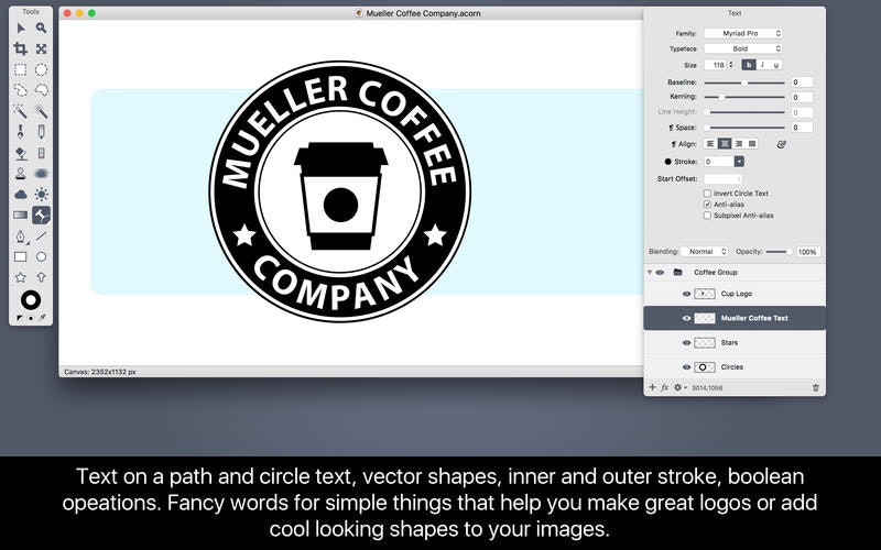 Acorn 6 gallery image