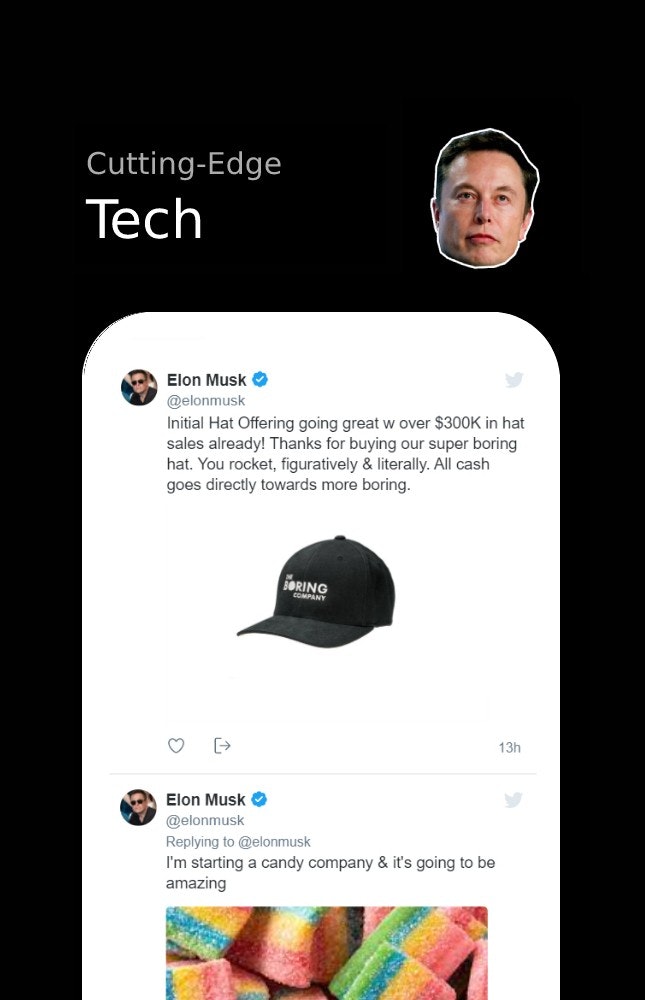 Elon's Shenanigans gallery image