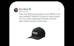 Elon's Shenanigans media 3