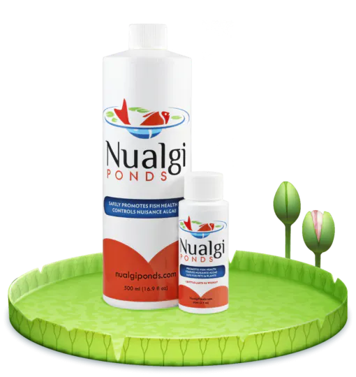 Nualgi Ponds Water Treatment