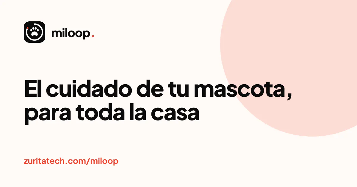 Miloop gallery image