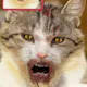 ZombieBooth 2