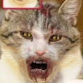 ZombieBooth 2