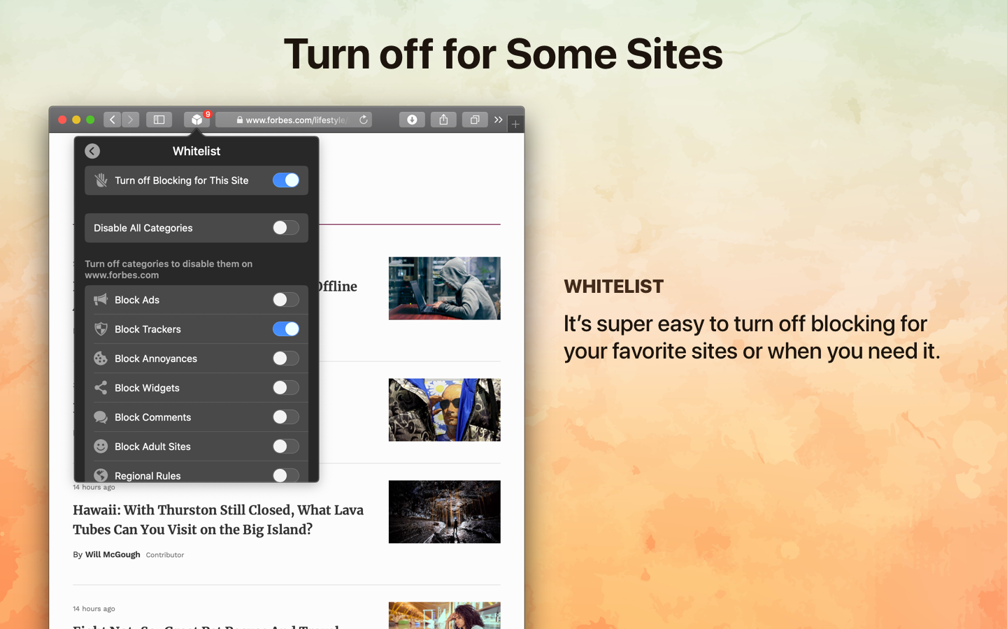 1Blocker Image