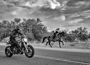 Animals.Film gallery image